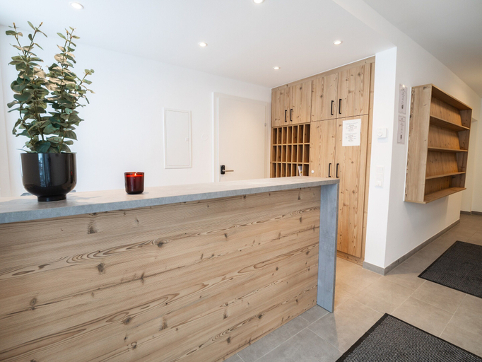 Reception, Apartment in Katschberghohe With Views, Tamsweg