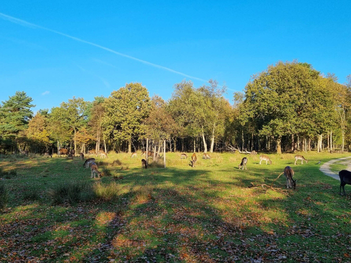 Miscellaneous 4, 5 Star Holiday Home in Bogense, Nordfyns