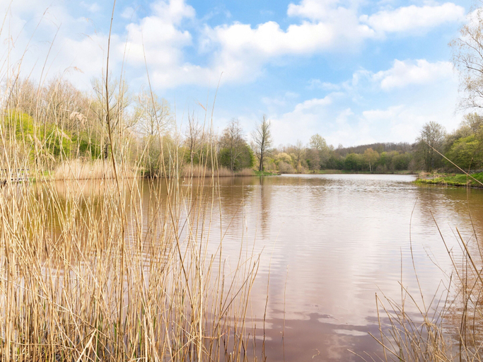 View from property 3, Holiday Home in Elim Near Slagharen Park, Hoogeveen