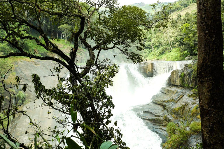 Others 5, The Cascade, Munnar, Idukki