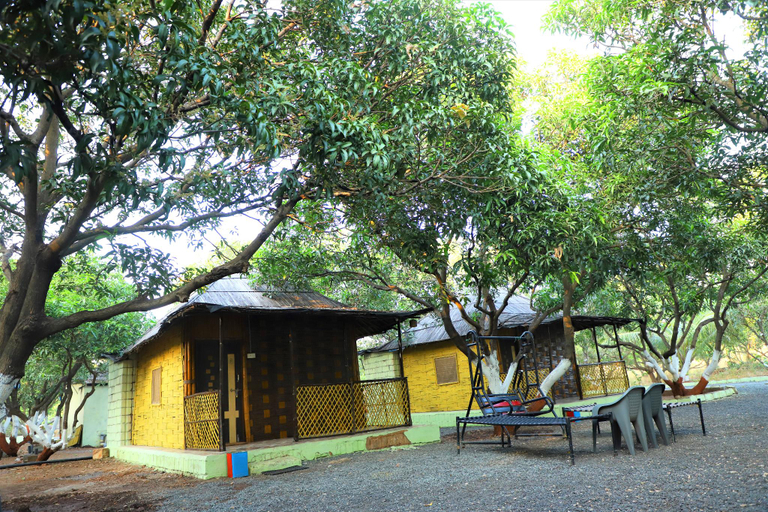 Others 3, Sasangir wilderness camp, Junagadh