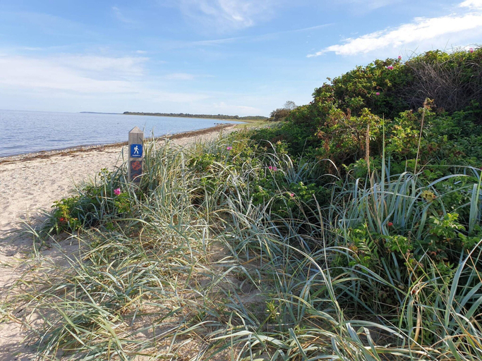 Beach, 5 Star Holiday Home in Bogense, Nordfyns
