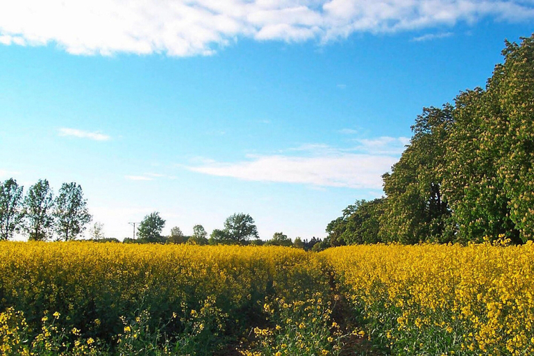 View from property 5, Large Holiday Home With a Beautiful Garden, Sławno