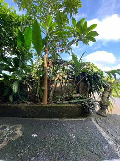 scenery 12