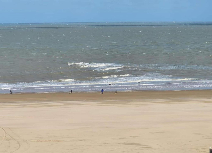 View from property 2, Beachside Break in Knokke, West-Vlaanderen