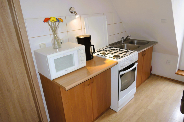 Private kitchen, Double Room With Garden View, Lubin, Kamień