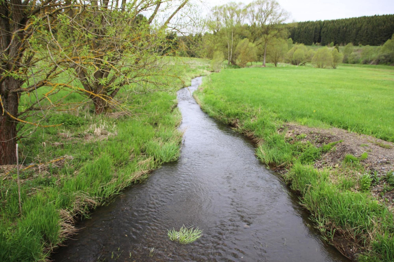 Garden 5, Apartment in Braunlage, Goslar