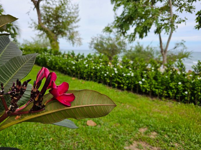 Others 5, Samed Tamarind Beach Resort, Muang Rayong