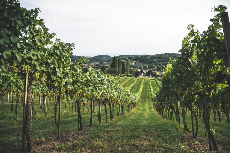 Others 4, Wein & Gastehof Erlacher, Weiz