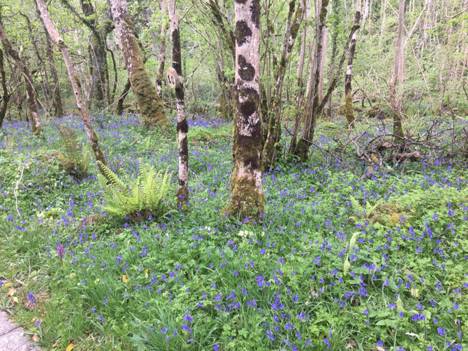 Others 2, Radharc Na Cuilcagh, Fermanagh and Omagh