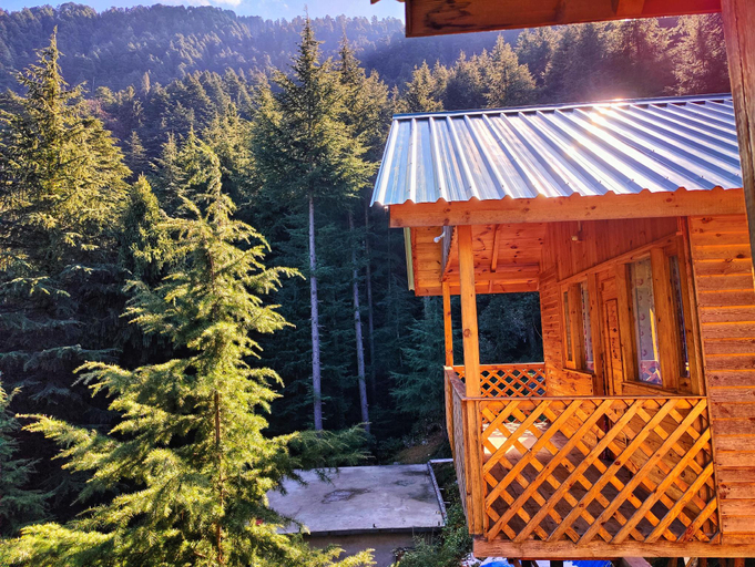 Others 5, Mid Conifer, Chamba