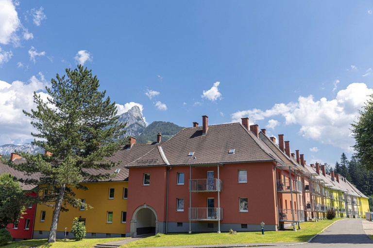 Primary image