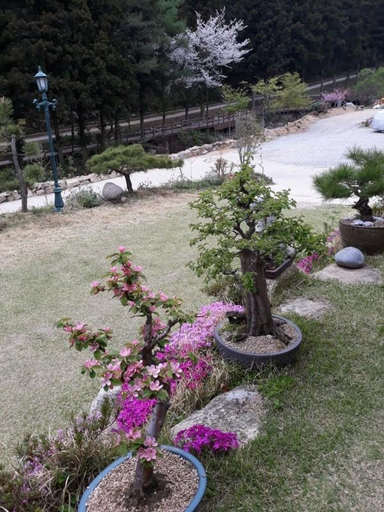 Others 4, Jangseong Forest Scent Pension, Gochang