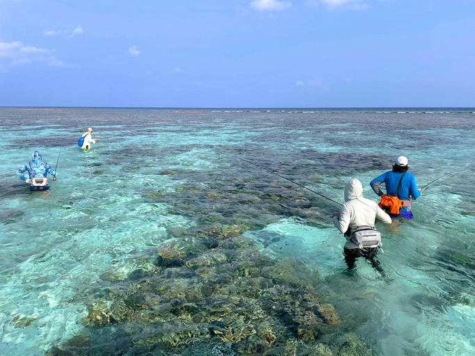 Others 3, The Fulhadhoo Beach Cottage, Baa Atoll