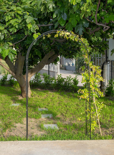 Others 3, TWINS DREAMs HOUSE