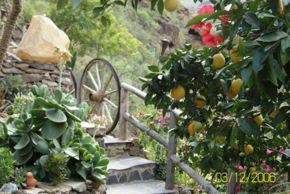 Others 2, jardin botanico Montecristo, Las Palmas
