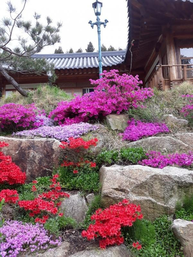 Others 3, Jangseong Forest Scent Pension, Gochang