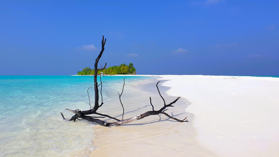 Others 2, The Fulhadhoo Beach Cottage, Baa Atoll