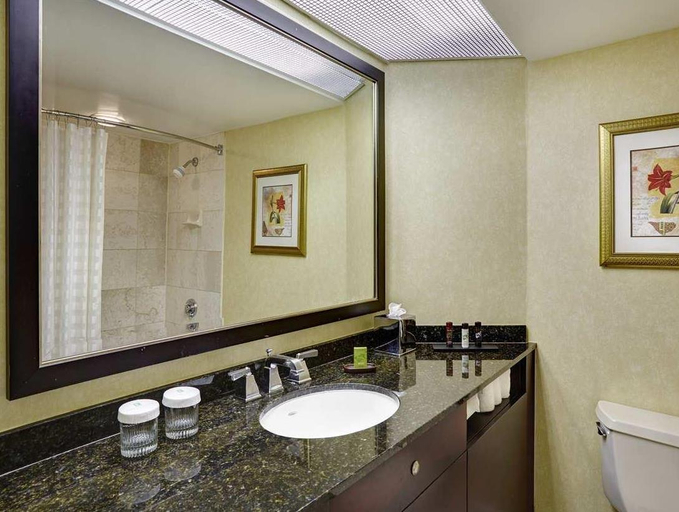 Bathroom, Embassy Suites by Hilton Washington DC Georgetown, Washington D.C.