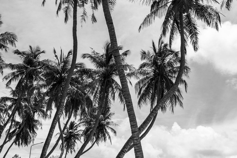 Others 3, Go Surf Maldives, Kaafu Atoll