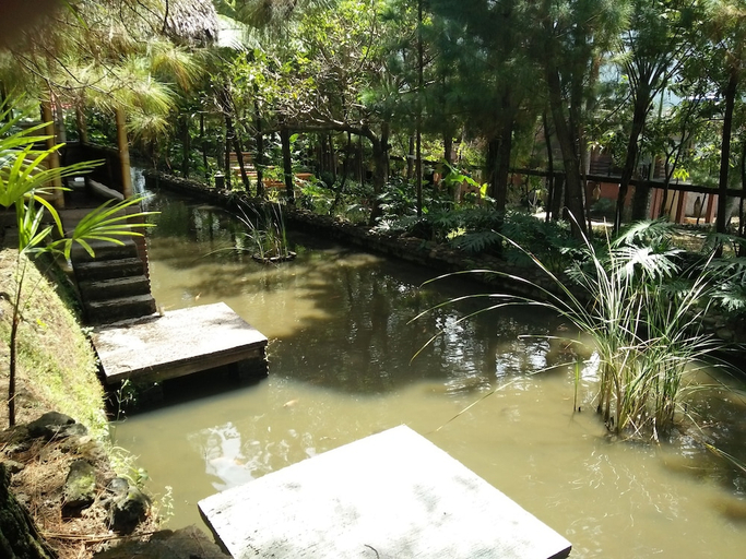scenery 13