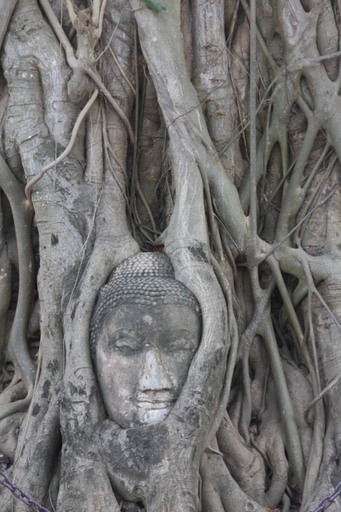 Others 3, Banchan Hostel, Phra Nakhon Si Ayutthaya