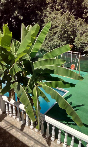 Others 3, Guesthouse Relax, Sochi gorsovet