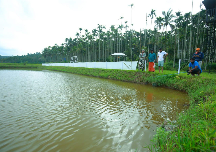 Others 2, Wildsidewayanad, Wayanad