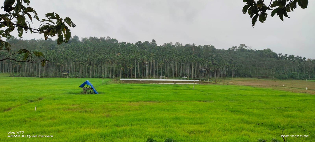 Others 4, Wildsidewayanad, Wayanad