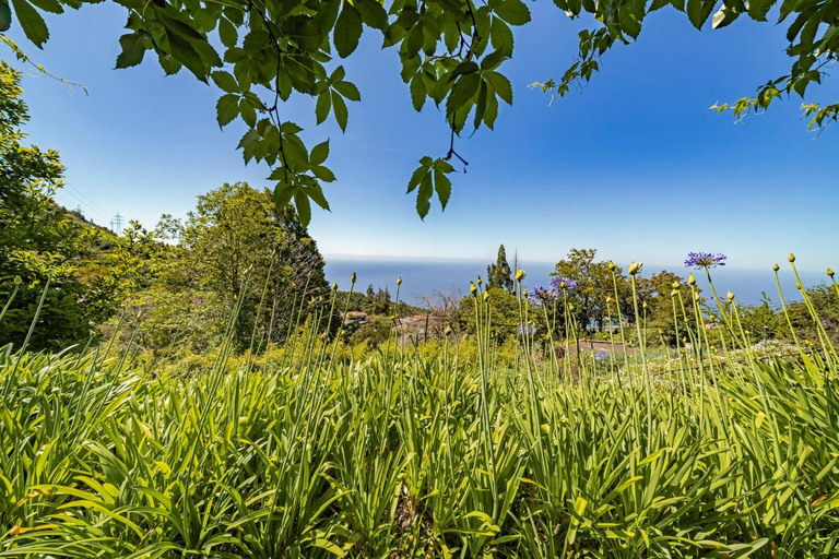 Others 3, Quinta Devonia by An Island Apart, Funchal