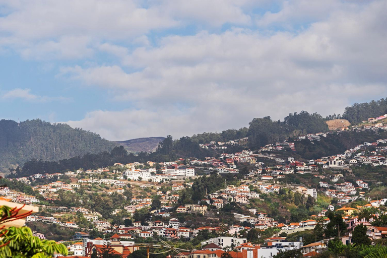 Others 3, Achada I by An Island Apart, Funchal