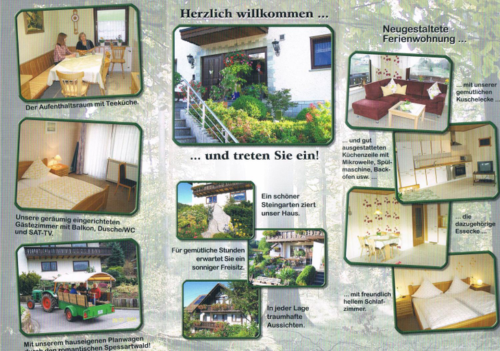 Others 3, Gastehaus Cornelia, Miltenberg