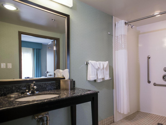 Bathroom 2, Hampton Inn & Suites by Hilton St. John's Airport, Division No. 1