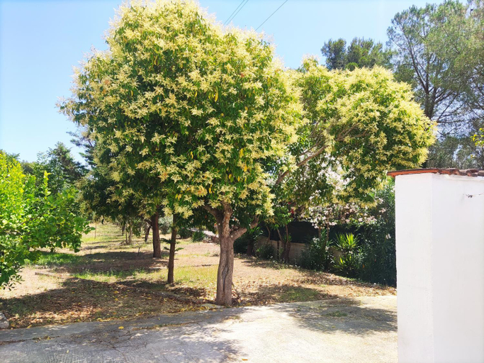 Others 2, Villa Eden Mesagne, Brindisi