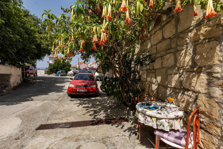 Others 2, Kata, Makarska