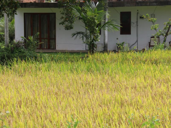 Others 3, Mihini Hotel, Hingurakgoda