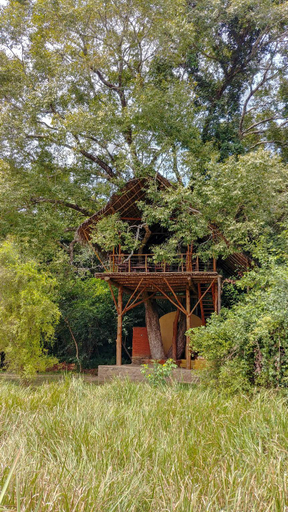 Others 5, Back of Beyond Dehigaha Ela, Dambulla