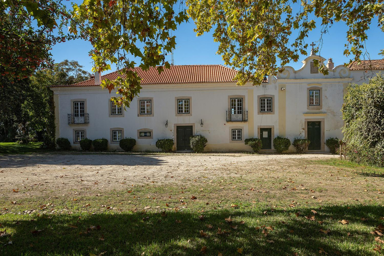 Others 4, Quinta da Torre Alpiarca, Alpiarça