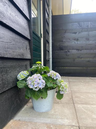 Others 4, Ecolodges De Dreef Guesthouse, Schouwen-Duiveland
