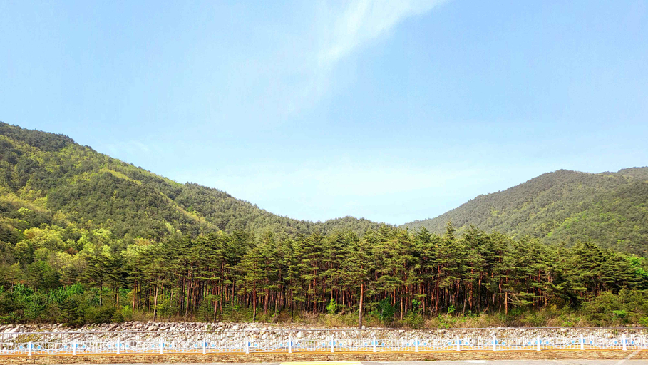 Others 4, Sokcho Pine View Hotel, Sokcho