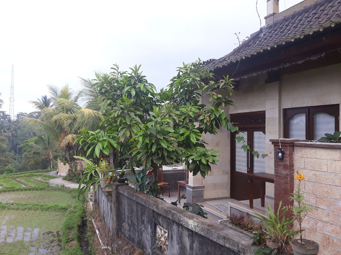 scenery 24