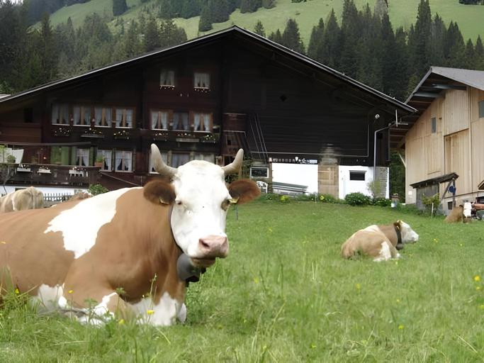 Others 2, Gasslihof, Saanen