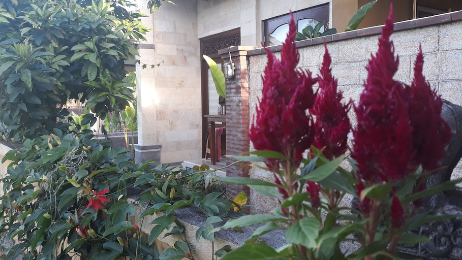 scenery 33