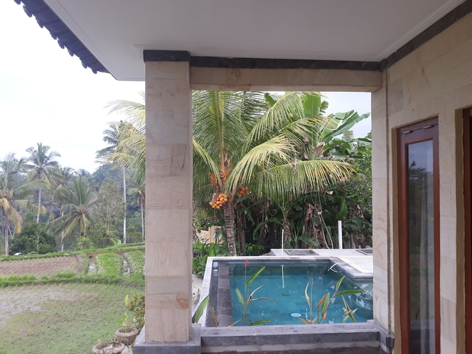 pool 8