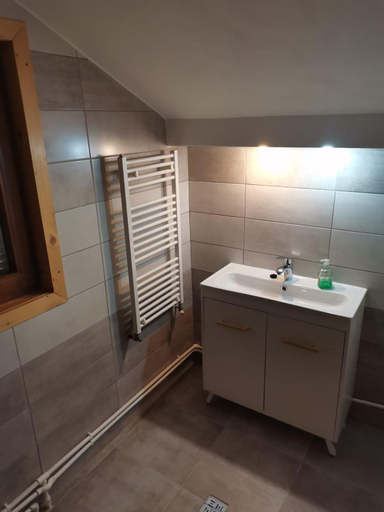 Bathroom, Casa David, Svinita
