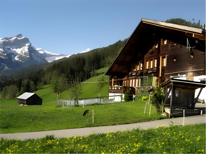 Others 3, Gasslihof, Saanen