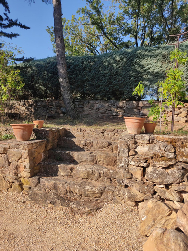 Others 3, OLIVE & SAFRAN, Var