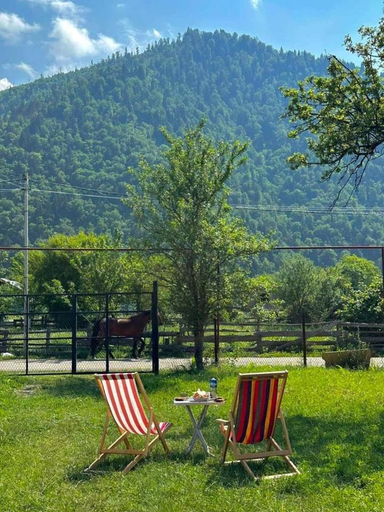 Others 5, Villa Sadgeri, Borjomi