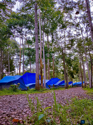Be Glamping Lembang Room Type - Be Camp Arpen Blue (Forest Ambience)