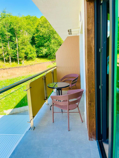 Others 2, One-bedroom Apartment in Crystal Residence Bakuriani, Borjomi